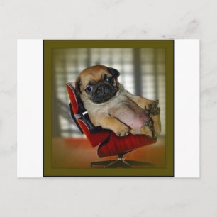 Baas Pug. Briefkaart