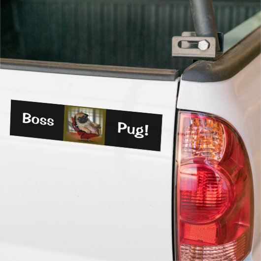 Baas Pug. Bumpersticker (Op Truck)