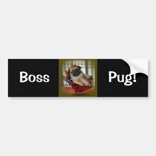 Baas Pug. Bumpersticker (Voorkant)