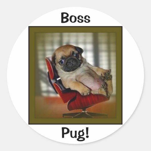 Baas Pug. Ronde Sticker (Voorkant)