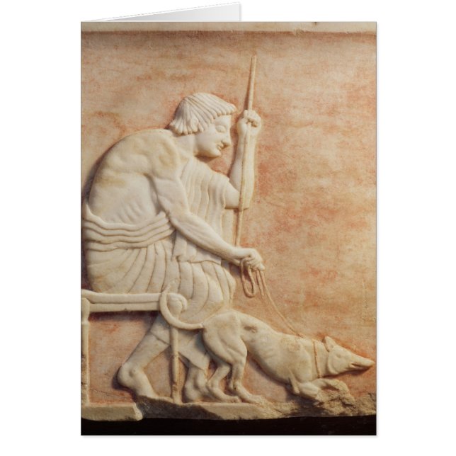 Baas voor dieren (Voorkant)