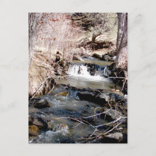Babbling Brook Briefkaart