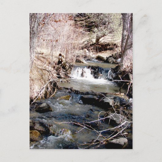 Babbling Brook Briefkaart (Voorkant)