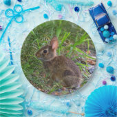 Babby Bunny Paper Bord (Feest)