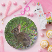 Babby Bunny Paper Bord (Feest)
