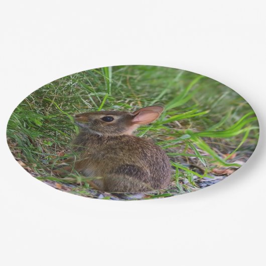 Babby Bunny Paper Bord (Gekanteld)