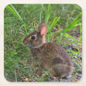 Babby Bunny Paper Onderzetter (Voorkant)