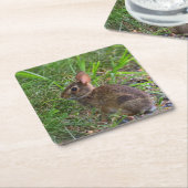 Babby Bunny Papieren Onderzetter (Schuin)
