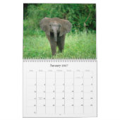 Babes Gone Wild Animals 2009 - 2010 Kalender (Jan 2027)