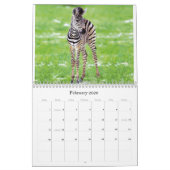 Babes Gone Wild Animals 2009 - 2010 Kalender (Feb 2026)