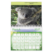 Babes Gone Wild/Wild Baby Animals Kalender (Mar 2027)