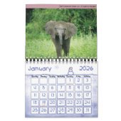 Babes Gone Wild/Wild Baby Animals Kalender (Jan 2026)