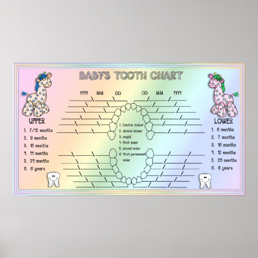 Babies Tooth Chart Poster (Voorkant)