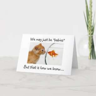 BABIES-WE WETEN DAT ADOPTIE SPECIAAL IS KAART