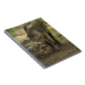 Babirusa-laptop Notitieboek (Rechterzijde)