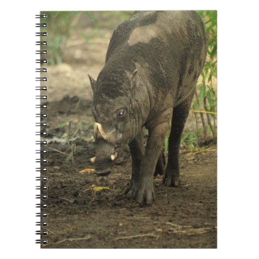 Babirusa-laptop Notitieboek (Voorkant)