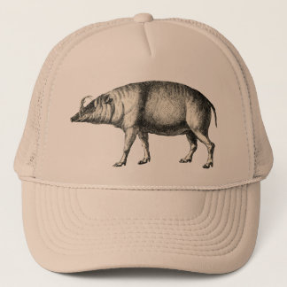 Babirusa Wild Pig Boar Hog Art Pet