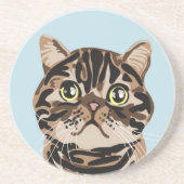 Babka het Onderzetter Cat (Voorkant)