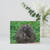 Baboon Briefkaart (Staand voorkant)
