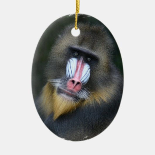 Baboon Face Ornament (Voorkant)