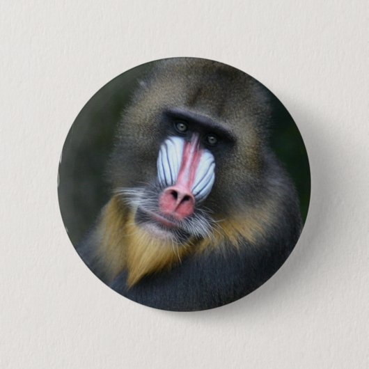 Baboon Face Round Button (Voorkant)
