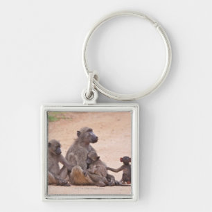 Baboon familie zit op de grond sleutelhanger