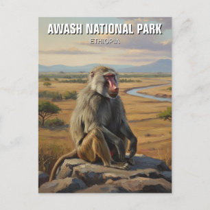 Baboon in Awash Nationaal Park Ethiopië Reizen Briefkaart
