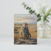 Baboon in Awash Nationaal Park Ethiopië Reizen Briefkaart (Staand voorkant)