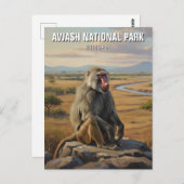 Baboon in Awash Nationaal Park Ethiopië Reizen Briefkaart (Voorkant / Achterkant)