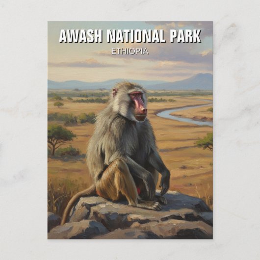 Baboon in Awash Nationaal Park Ethiopië Reizen Briefkaart (Voorkant)