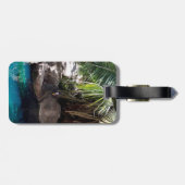 Baboon in het Paradijs, Bagagelabel (Achterkant horizontaal)