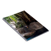 Baboon in het Paradijs, Notitieboek (Rechterzijde)