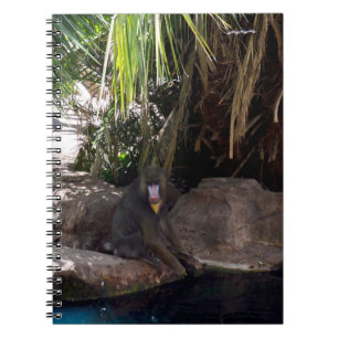 Baboon in het Paradijs, Notitieboek