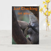 Baboon Inspection, ik controleer je... Kaart (Gele Bloem)