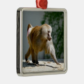 Baboon loopt op de grond metalen ornament (Rechts)
