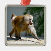Baboon loopt op de grond metalen ornament (Voorkant)