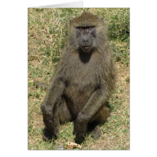 Baboon man