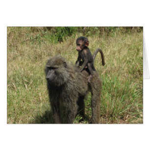 Baboon moeder en baby