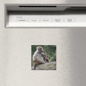 Baboon moeder verzorgt haar jongen magneet (Insitu (Vaatwasser))