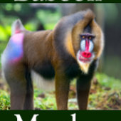 Baboon Monkey Legpuzzel