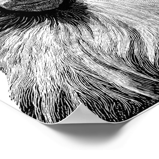 Baboon Monkey Oerwoud Safari Illustratie Art Poster (Hoek)