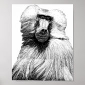 Baboon Monkey Oerwoud Safari Illustratie Art Poster (Voorkant)