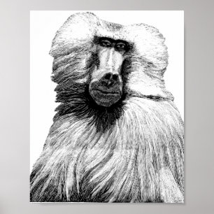 Baboon Monkey Oerwoud Safari Illustratie Art Poster