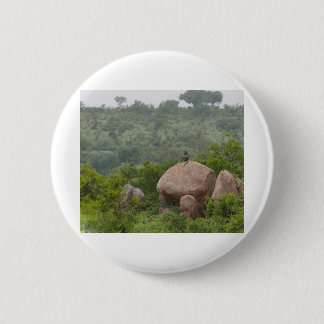 Baboon op een rots ronde button 5,7 cm