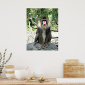 Baboon Poster (Keuken)