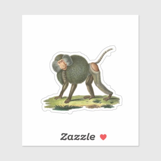 Baboon Sticker (Vel)