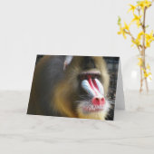 Baboon-Wenskaart Kaart (Gele Bloem)