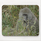 Baboons Pad Muismat (Voorkant)