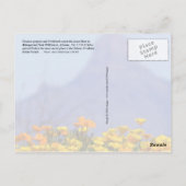 Baboquivari Peak Wilderness, Arizona Briefkaart (Achterkant)