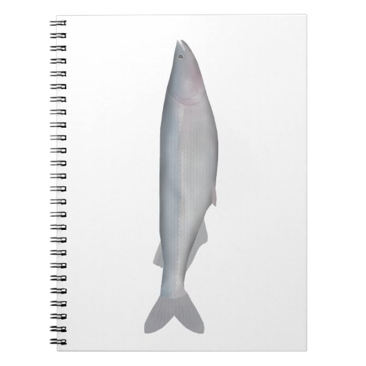 Baboso Notitieboek (Voorkant)